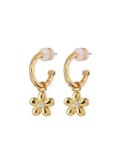 Diamonte Daisy Hoops- Gold | Luv Aj