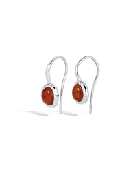 The Amber Honey Hook Earrings