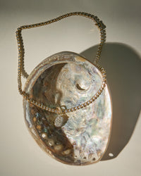 The Luv Aj Fine Diamond Georgian Pendant on a shell View 3