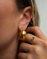 Lucia Hoops- Silver View 6