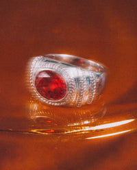 Luv Aj Elizabeth Garnet Ring in Silver, flat lay View 3
