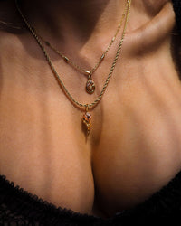 Rosa Double Charm Necklace- Silver View 4