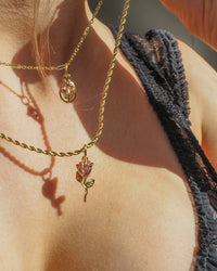 Rosa Double Charm Necklace- Gold View 4