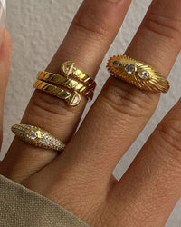 Florette Ridged Signet Ring- Gold View 14