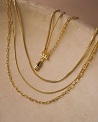 Chandon Multi Chain Charm Necklace- Gold View 4