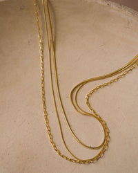 Chandon Multi Chain Charm Necklace- Gold View 2