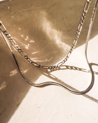 Cecilia Chain Necklace- Silver (Ships Late April) View 3