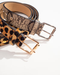 Bella Studded Belt- Gold View 8