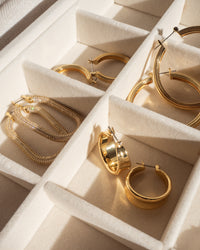 Dionne Hoops- Gold View 4