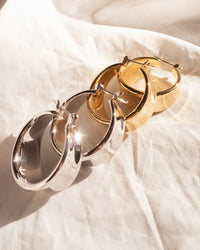 Dionne Hoops- Silver View 2